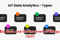 Big Data and the Internet of Things (IoT)