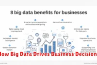 How Big Data Drives Business Decisions